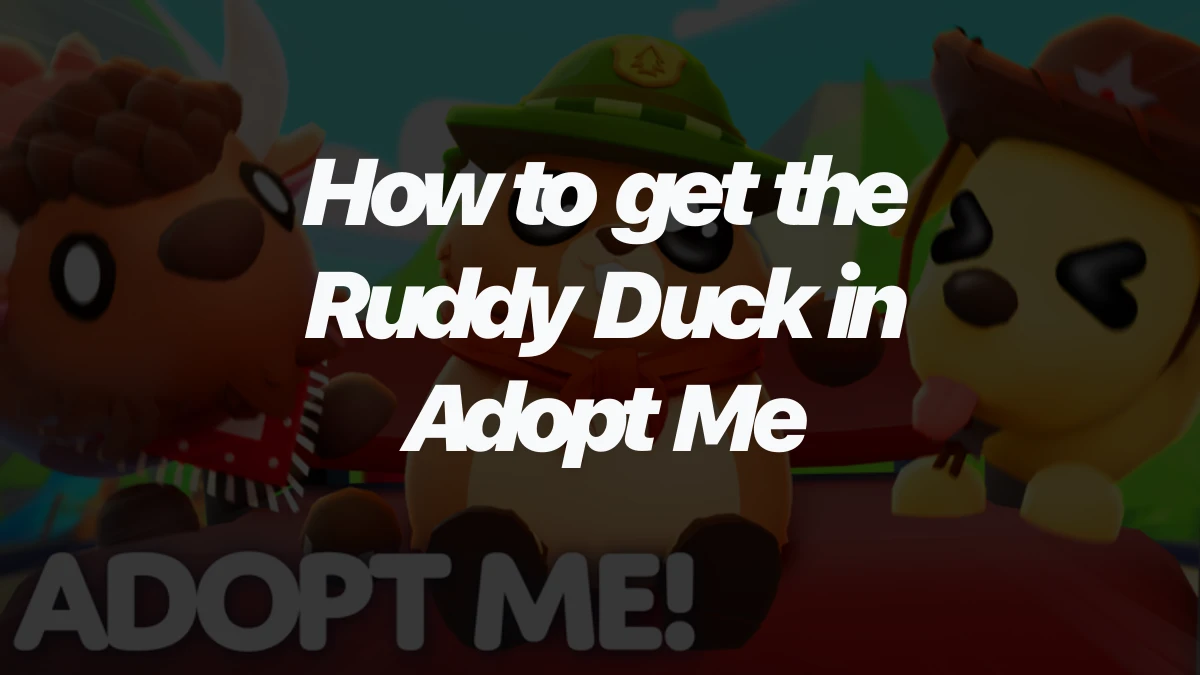 How to get the Ruddy Duck in Adopt Me