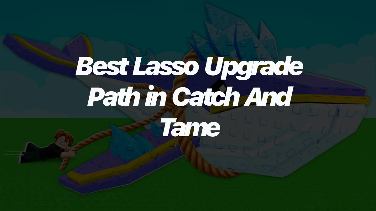 Best Lasso Upgrade Path in Catch And Tame