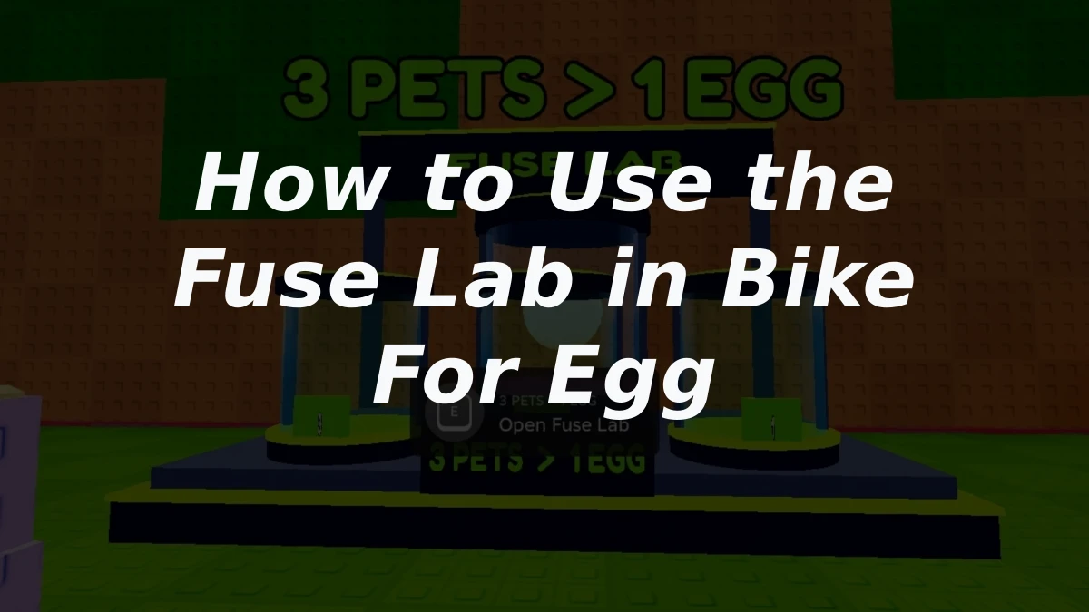 How to Use the Fuse Lab in Bike For Egg
