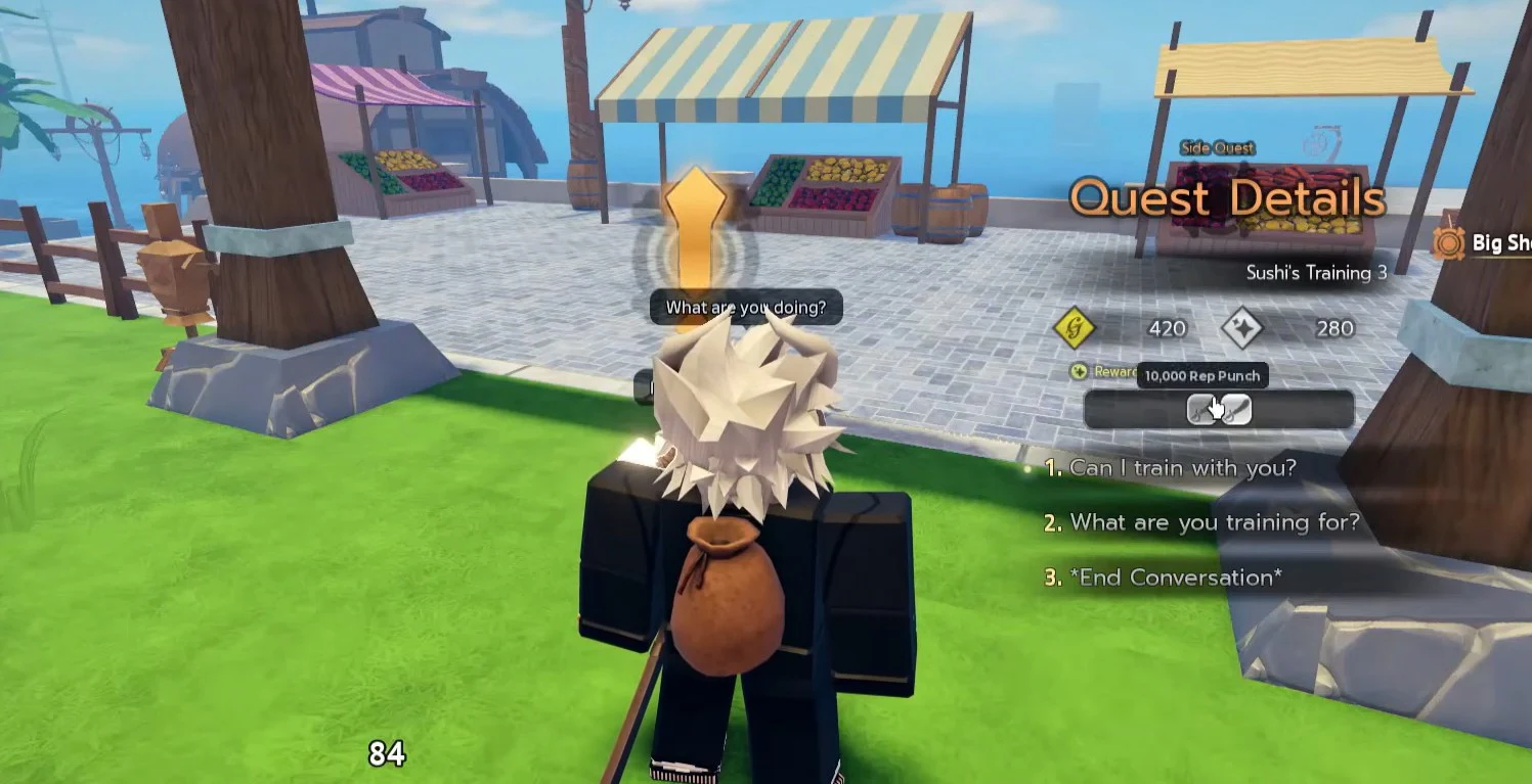 Sushi's training quest interaction beside the Anchor Town training grounds
