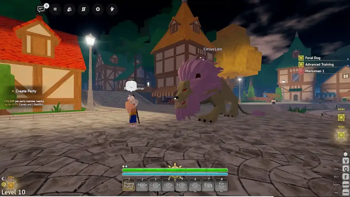 The Beast Tamer and Circus Lion in Clown Town's town arena