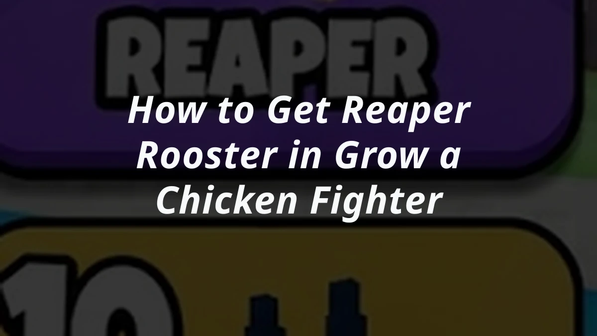 How to Get Reaper Rooster in Grow a Chicken Fighter