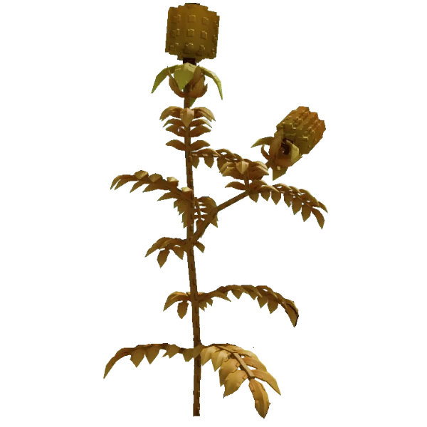 A grown Harvest Melon plant in Grow a Garden
