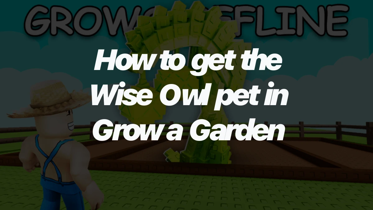 How to get the Wise Owl pet in Grow a Garden