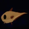 The Grenadier Type of Fish
