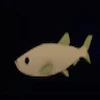 The Oil Sardine Fish