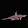 A Longnose fish