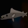 A Snoek Fish