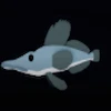 An Icefish in Fisch