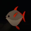 An Opah Fish