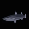 The Blackfin Barracuda Fish
