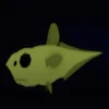 The Grenadier type fish
