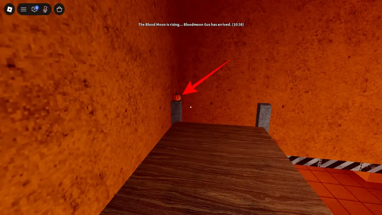 Pumpkin on a raised wooden bunk platform in an orange room.