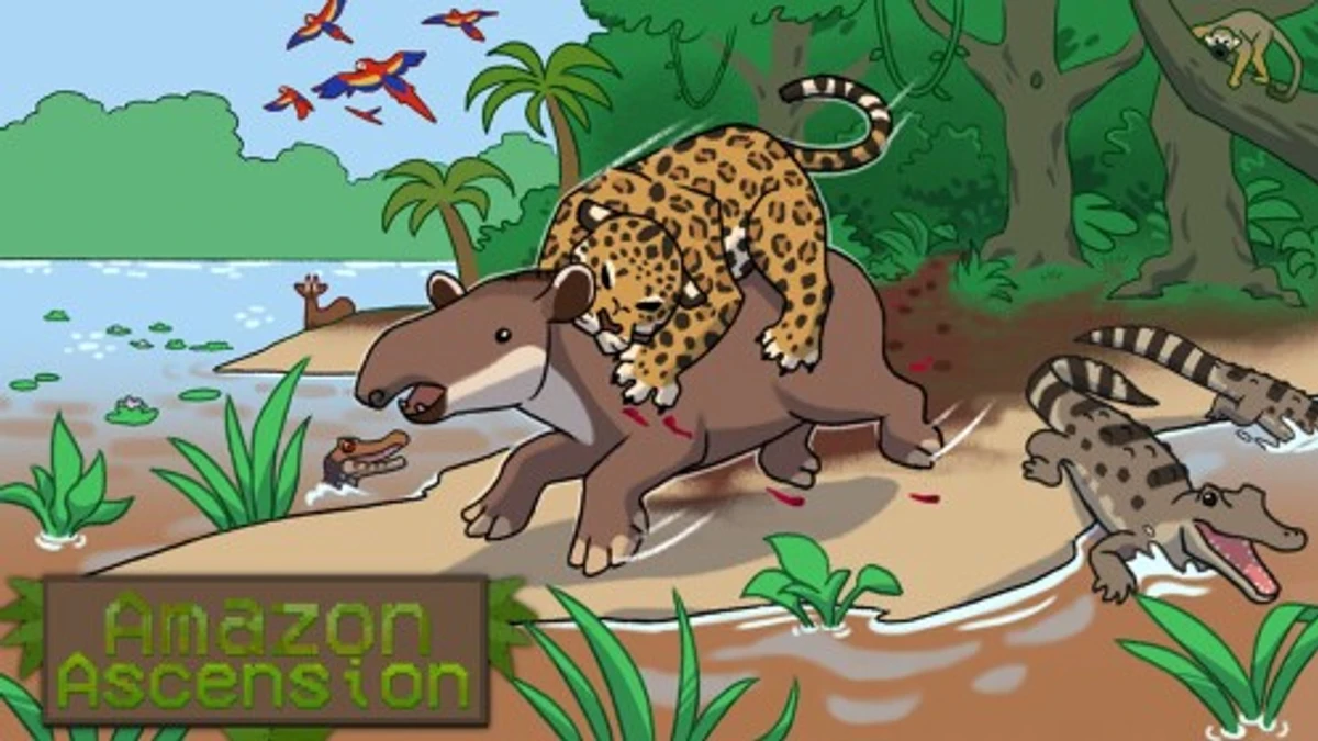Amazon Ascension