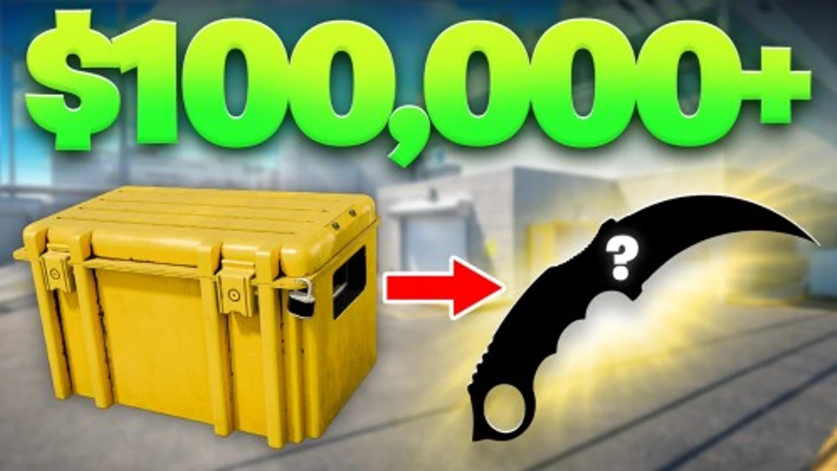 Case Paradise