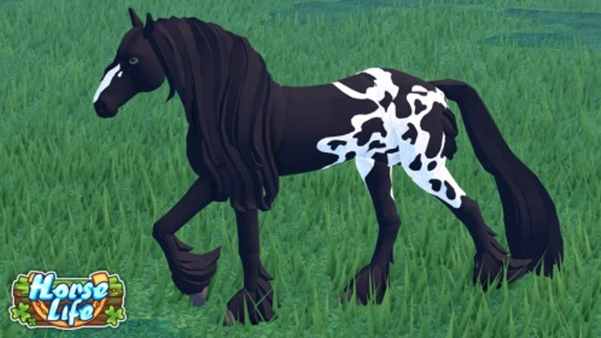Horse Life