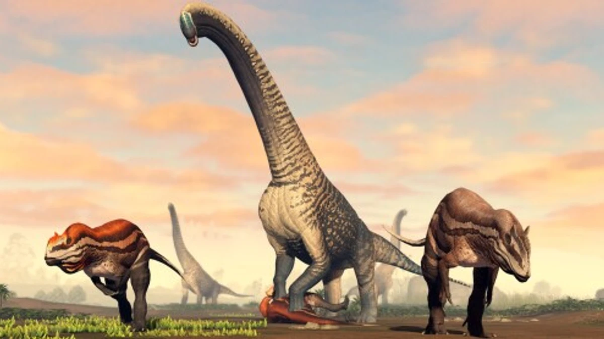 Prior Extinction