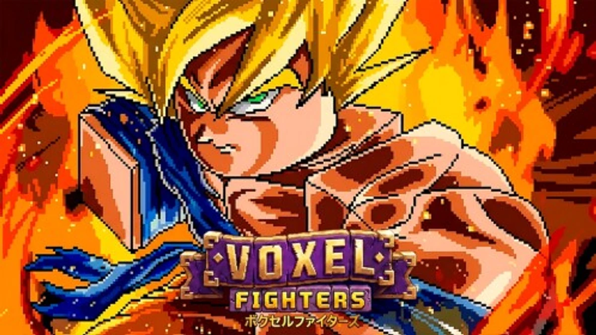 VOXEL FIGHTERS