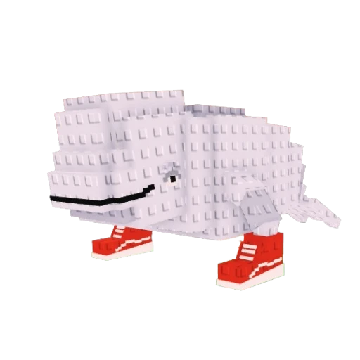 Beluga Beluga