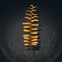 Fern