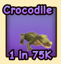 Crocodile
