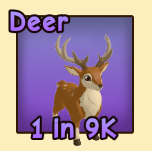 Deer