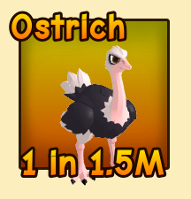 Ostrich