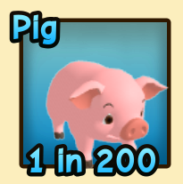 Pig