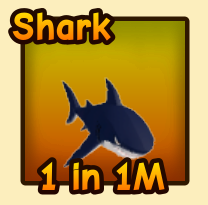 Shark