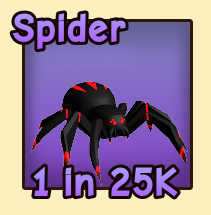 Spider