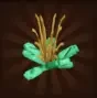 Baby Cactus
