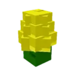 Corn