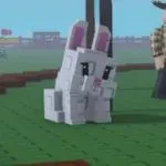 Bunny