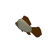 Butter Fish