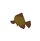 Flounder Fish