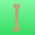 Bone