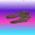 Dino Skull