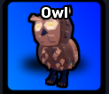 Owl