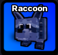 Raccoon
