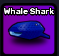 Whale Shark