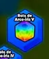 Rainbow Roll V
