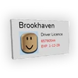 Driving License