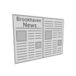 Newspaper
