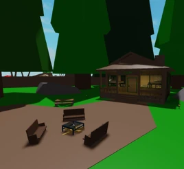 Summer Camp