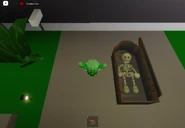 Opened coffin.png