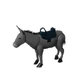 Donkey