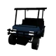 Electric Golf Cart