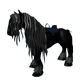 Friesian Horse