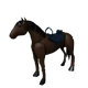 Mini Horse