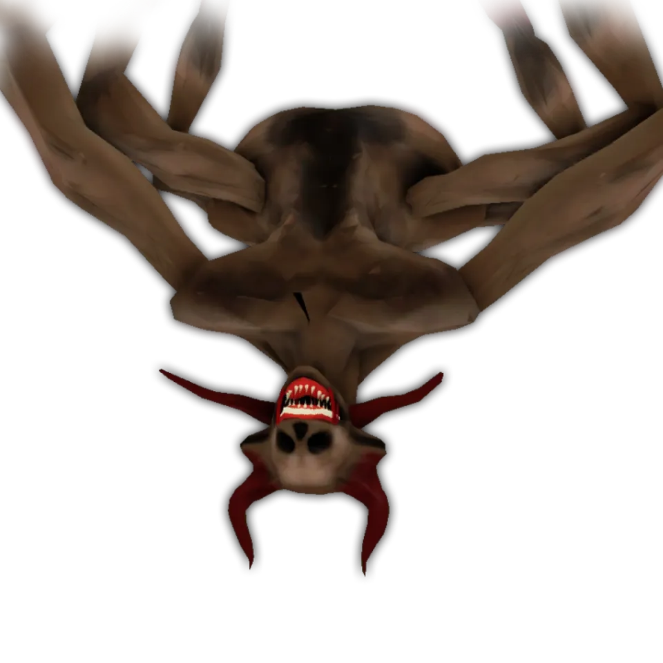 Zuboshi Lantern